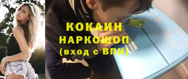 mdpv Каменногорск