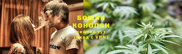 mdpv Каменногорск