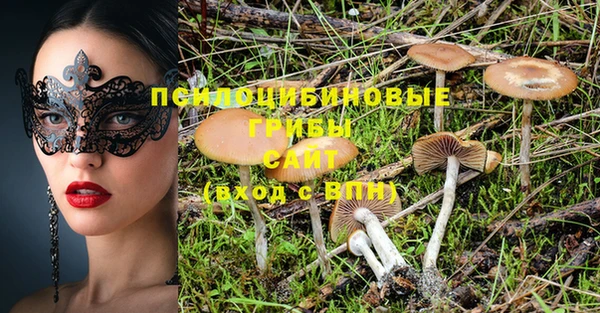 прущий лед Каменск-Шахтинский